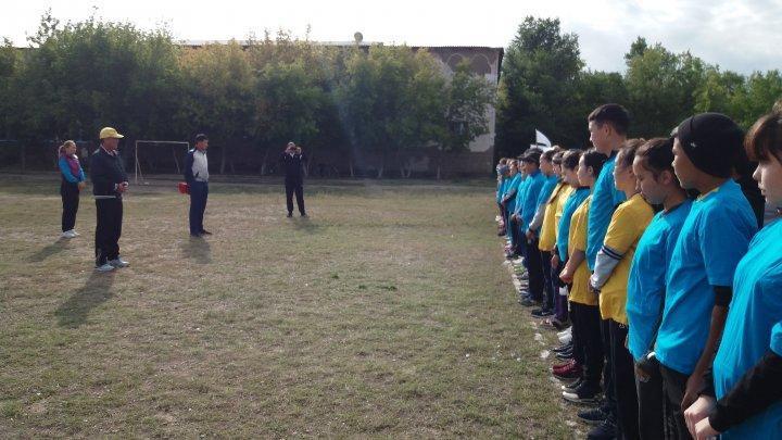 Денсаулық күні