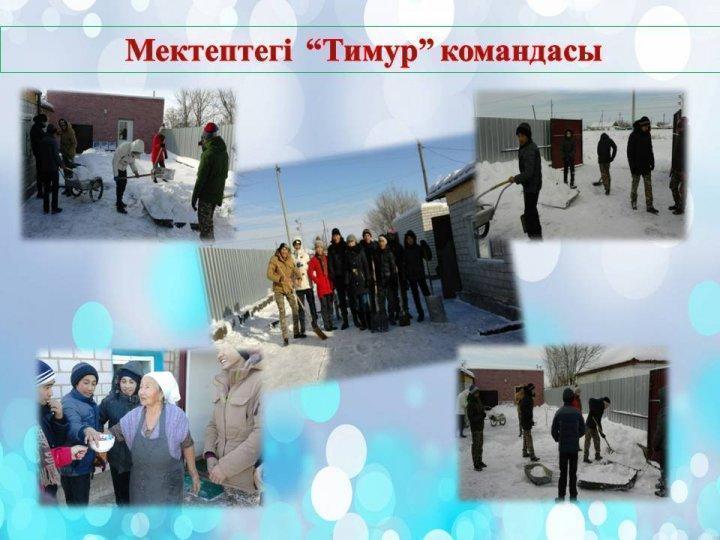 Тимур командасы